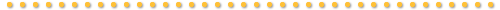 border_y.gif (1418 bytes)